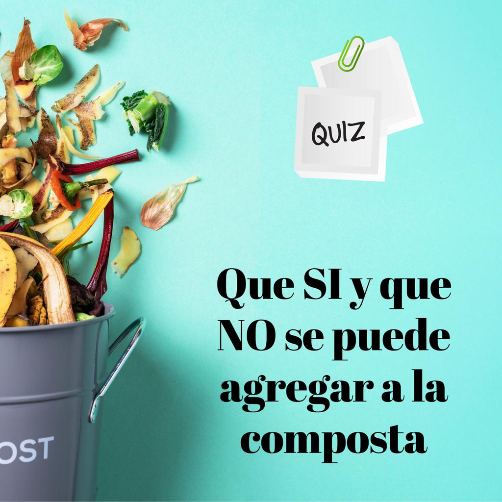 Ponte a prueba. Quiz Composta #1